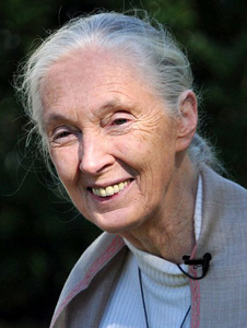 Jane Goodall by Nick Stepowyj