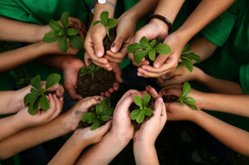 green school eco-friendly school sustainable school