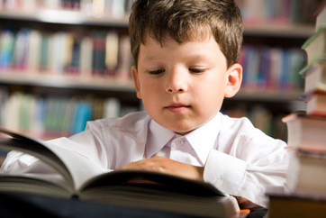 Young Boy Reading a Book